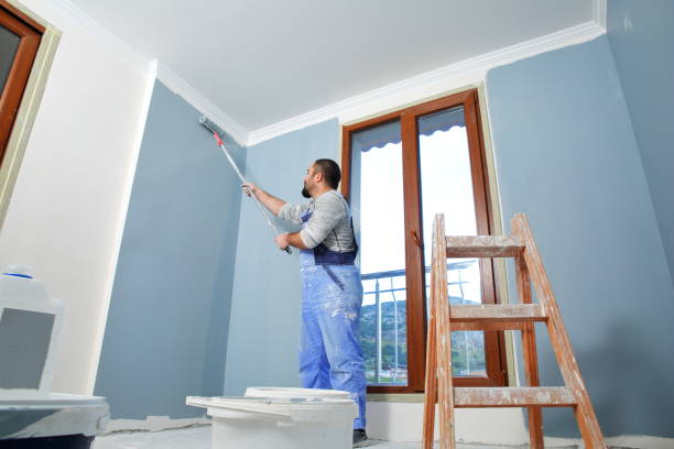 Best Commercial Painting  in Seyur, MO